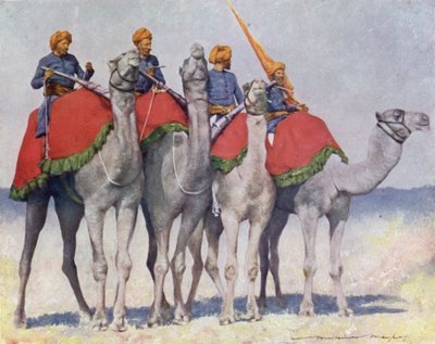Cammelleria di Alwar da Mortimer Ludington Menpes